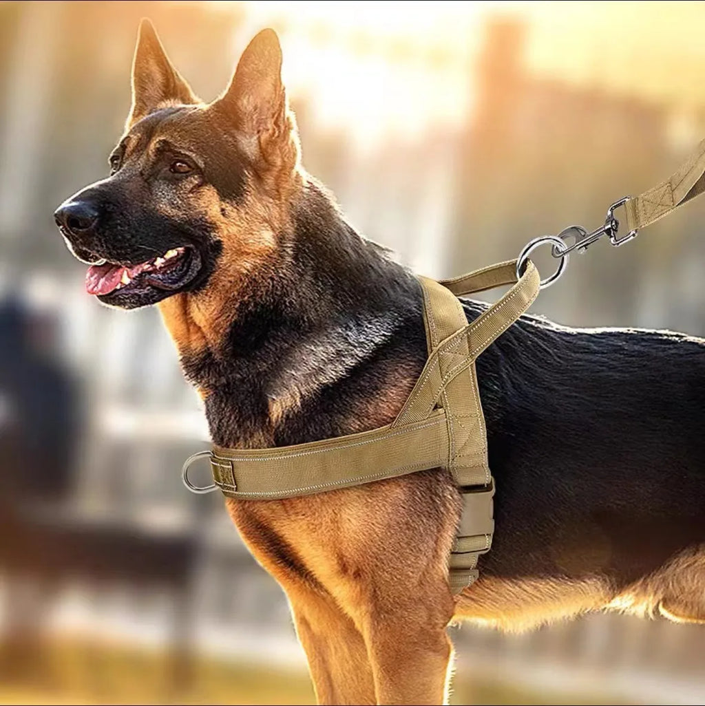 Explosion-Proof Tactical Harness Dog Traction Large Dog Collar Vest Style Golden Retriever Dog Walking Traction Vest