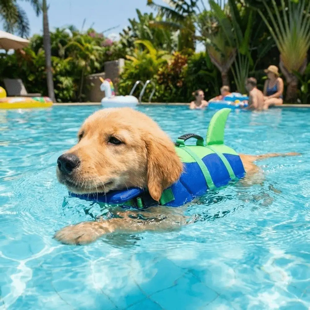 Shark Shape Dog Life Vest Adjustable High Visibility Dog Swimming Suit Tear-resistant Superior Buoyancy Safety Vests